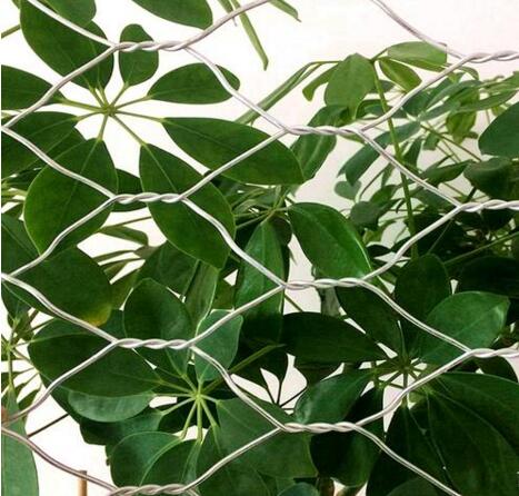 ��\�F�z�W(w��ng)15531868633