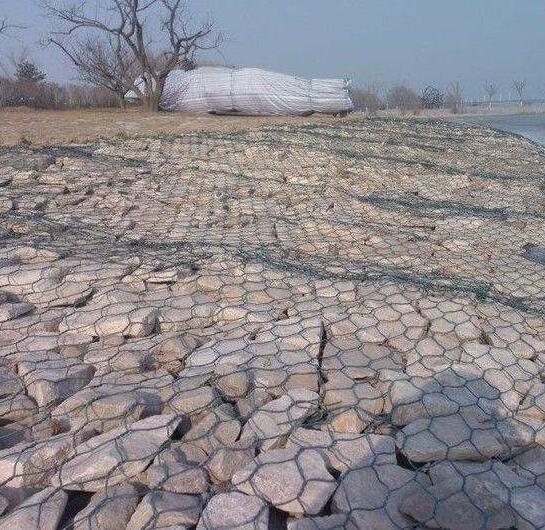 ��\�F�z�W(w��ng)15531868633