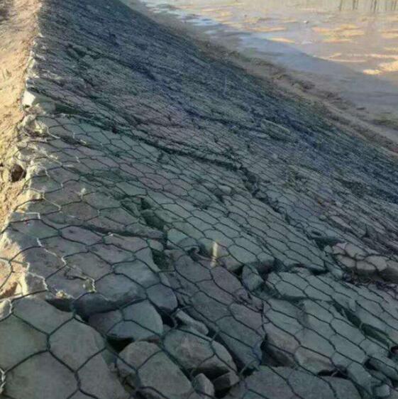 ʯ�\�W(w��ng)15531868633