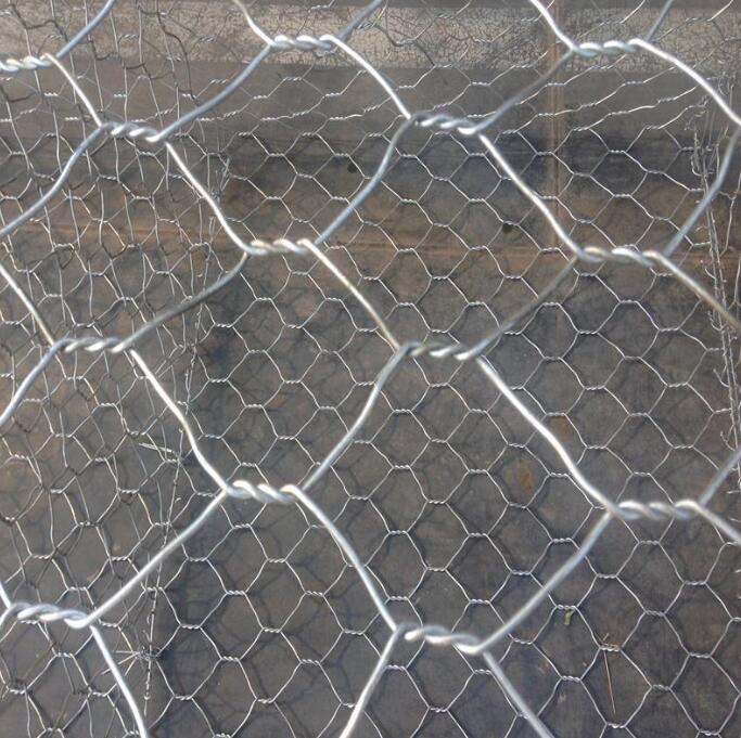 �ߠ������e�W(w��ng)