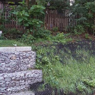 �̞I�\15531868633