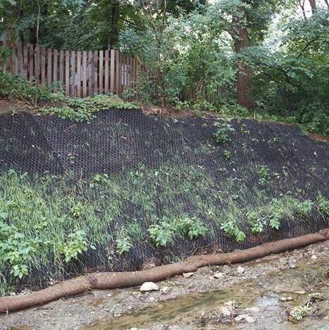 ���S�ӽ����ˉ|