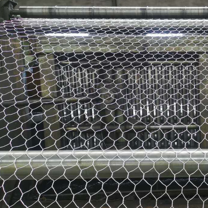 �ߏ��W(w��ng)��