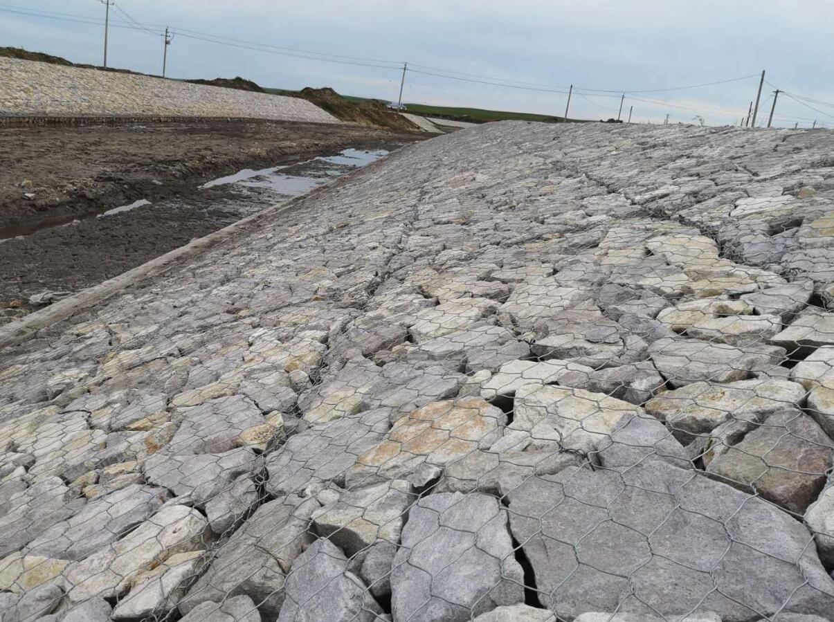 ���e�W(w��ng)ʯ�\�o(h��)��