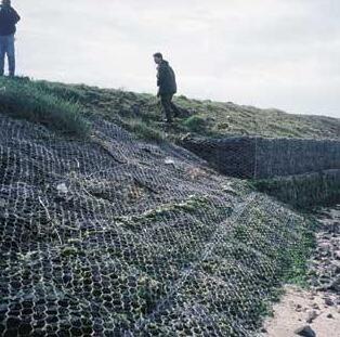 ���e�W�o�S��15531868633