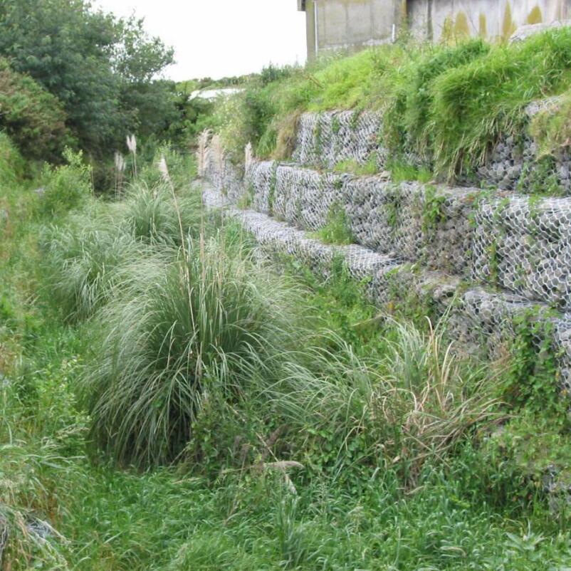 ���B(t��i)ʯ�\����Ч���D