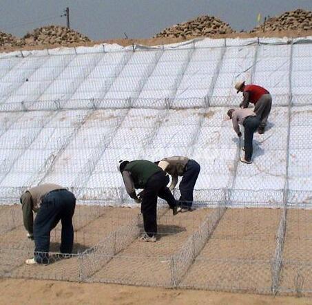 ��\���B�o�¸��e�W