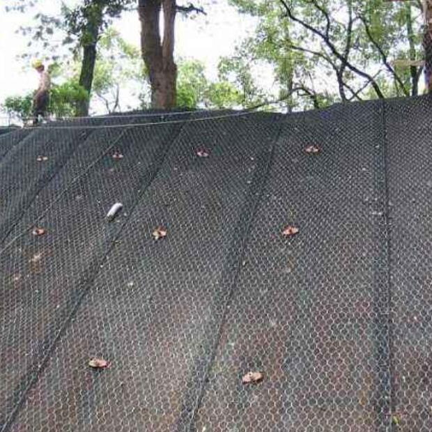 ���S���ˉ|15531868633