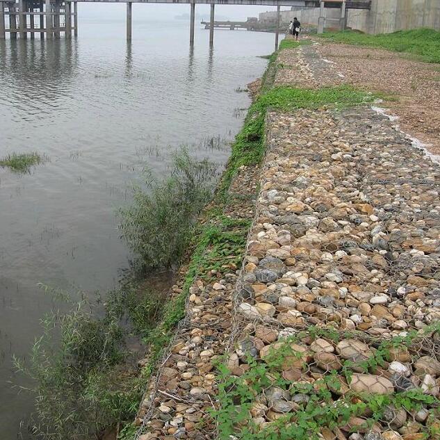 �G�����B��W15531868633