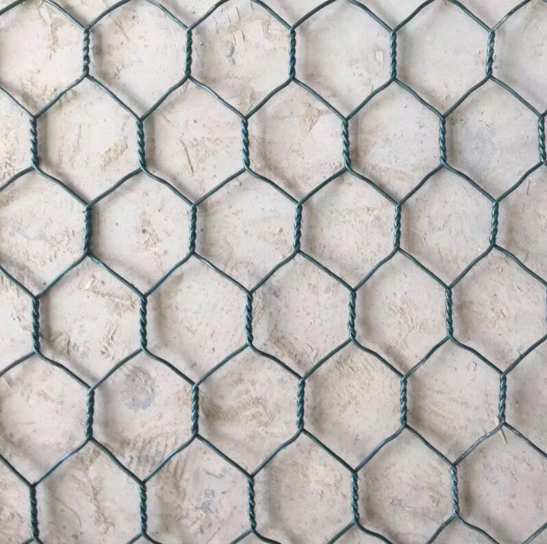 ���e�W���a�S��