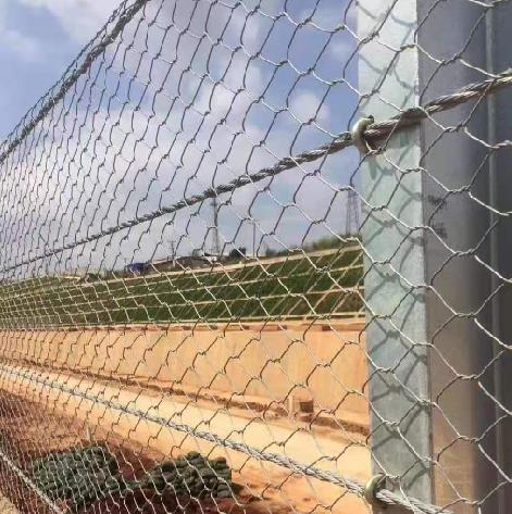 ʯ�\�W(w��ng)�S15531868633