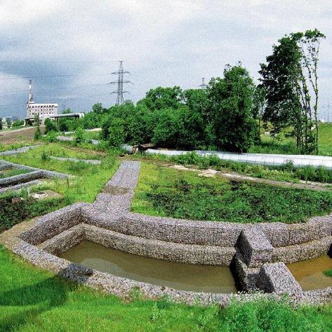 ���e�W���o��15531868633