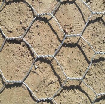 �p�g����߅��䓽z�W(w��ng)�ӽ������