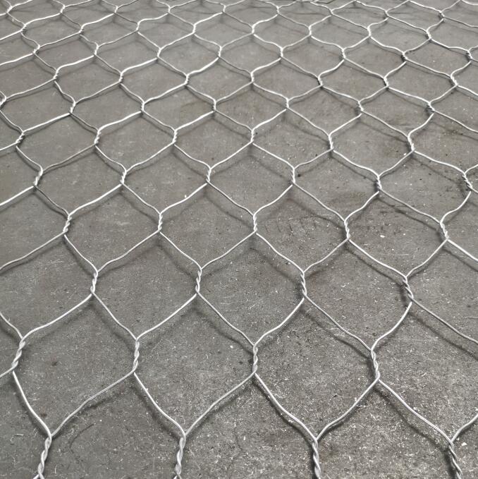 �o�_���B���e�W