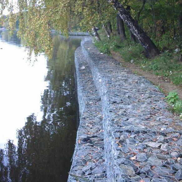 ����\���e�\